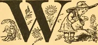 An illustration from The kindergarten; (1891)