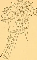 Picture 93 of 277 from The kindergarten; (1891), leaf 73