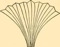 An illustration from Kindergarten at home; a kindergarten course for the individual child at home (1911)