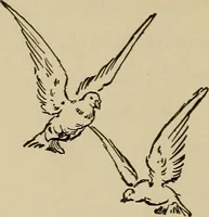 An illustration from The kindergarten in the home; a book for parents and for all interested in child-training (1909)