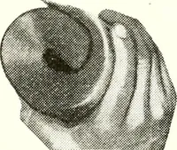 An illustration from The Kindergarten journal (1911)