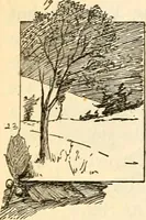 An illustration from The Kindergarten magazine (1891)