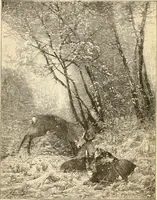 An illustration from The Kindergarten magazine (1891)