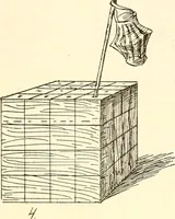 Picture 34 of 75 from The Kindergarten magazine (1891), leaf 312