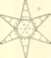 An illustration from The Kindergarten magazine (1891)