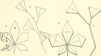An illustration from The Kindergarten magazine (1891)