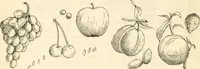 An illustration from The Kindergarten magazine (1891)