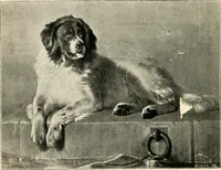 An illustration from The Kindergarten magazine (1891)