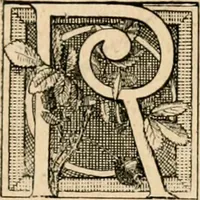 Picture 24 of 82 from The Kindergarten magazine (1891), leaf 255