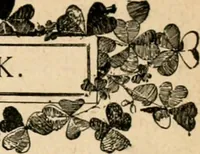 Picture 34 of 82 from The Kindergarten magazine (1891), leaf 353