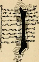 Picture 41 of 82 from The Kindergarten magazine (1891), leaf 427