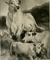 An illustration from The Kindergarten magazine (1891)
