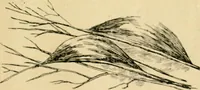 An illustration from The Kindergarten magazine (1891)