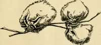 Picture 65 of 82 from The Kindergarten magazine (1891), leaf 688