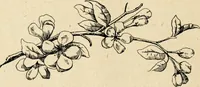Picture 68 of 82 from The Kindergarten magazine (1891), leaf 717