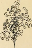 An illustration from The Kindergarten magazine (1891)