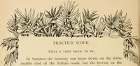 Picture 76 of 82 from The Kindergarten magazine (1891), leaf 775