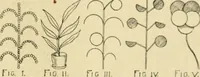 Picture 78 of 82 from The Kindergarten magazine (1891), leaf 780