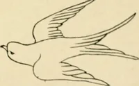 Picture 82 of 82 from The Kindergarten magazine (1891), leaf 822