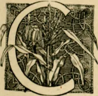 Picture 8 of 82 from The Kindergarten magazine (1891), leaf 96