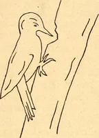 An illustration from The Kindergarten magazine (1891)