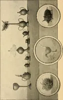 An illustration from The Kindergarten magazine (1891)