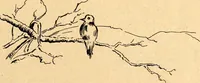 An illustration from The Kindergarten magazine (1891)