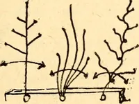 An illustration from The Kindergarten magazine (1891)