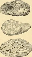 Picture 4 of 29 from The Kindergarten magazine (1891), leaf 219