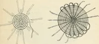 An illustration from The Kindergarten magazine (1891)