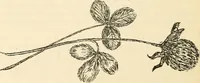 An illustration from The Kindergarten magazine (1891)