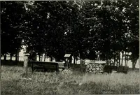 Picture 33 of 69 from The Kindergarten magazine (1891), leaf 312