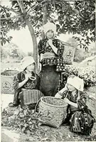 An illustration from The Kindergarten magazine (1891)