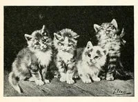 Picture 9 of 10 from The Kindergarten magazine (1891), leaf 598