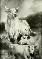 An illustration from The Kindergarten magazine (1891)
