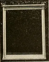 Picture 5 of 19 from The Kindergarten magazine (1891), leaf 255