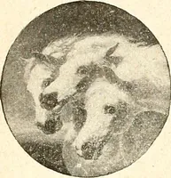 Picture 8 of 19 from The Kindergarten magazine (1891), leaf 266
