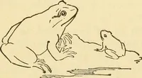 An illustration from Kindergarten, painting, plays and home entertainments; a book of amusement and instruction for boys and girls (1900)
