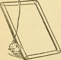 Picture 145 of 226 from Kindergarten, painting, plays and home entertainments; a book of amusement and instruction for boys and girls (1900), leaf 117