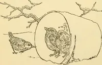 An illustration from Kindergarten, painting, plays and home entertainments; a book of amusement and instruction for boys and girls (1900)