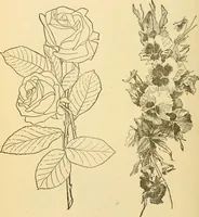 An illustration from Kindergarten, painting, plays and home entertainments; a book of amusement and instruction for boys and girls (1900)