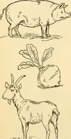 An illustration from Kindergarten, painting, plays and home entertainments; a book of amusement and instruction for boys and girls (1900)