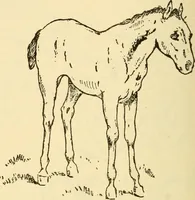 An illustration from Kindergarten, painting, plays and home entertainments; a book of amusement and instruction for boys and girls (1900)
