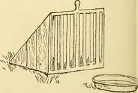 An illustration from Kindergarten, painting, plays and home entertainments; a book of amusement and instruction for boys and girls (1900)
