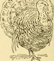 An illustration from Kindergarten, painting, plays and home entertainments; a book of amusement and instruction for boys and girls (1900)