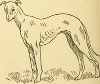 An illustration from Kindergarten, painting, plays and home entertainments; a book of amusement and instruction for boys and girls (1900)