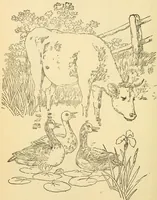 An illustration from Kindergarten, painting, plays and home entertainments; a book of amusement and instruction for boys and girls (1900)