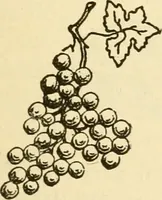 An illustration from Kindergarten, painting, plays and home entertainments; a book of amusement and instruction for boys and girls (1900)