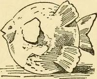 An illustration from Kindergarten, painting, plays and home entertainments; a book of amusement and instruction for boys and girls (1900)