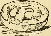An illustration from Kindergarten, painting, plays and home entertainments; a book of amusement and instruction for boys and girls (1900)